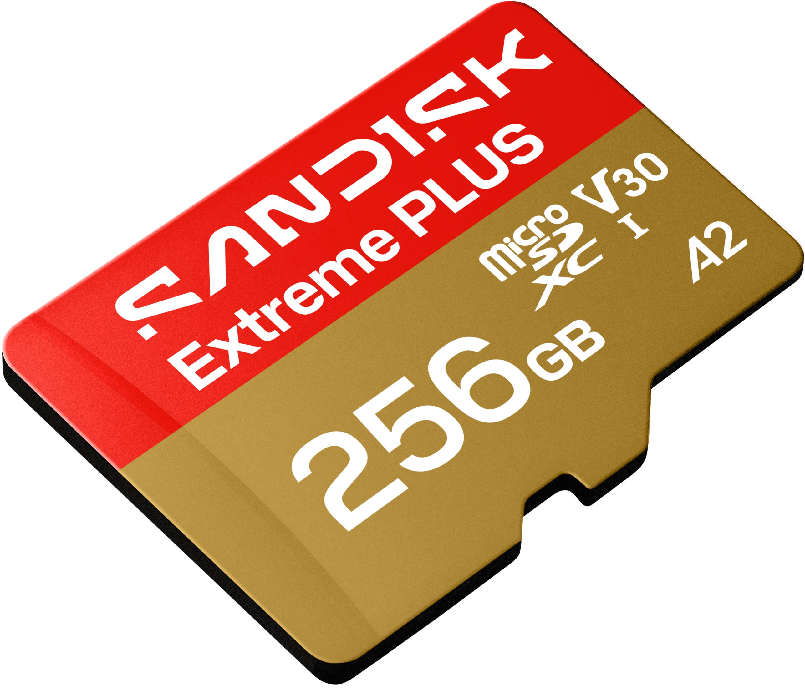 Una scheda microSD dorata da 256 GB con etichetta rossa e bianca.