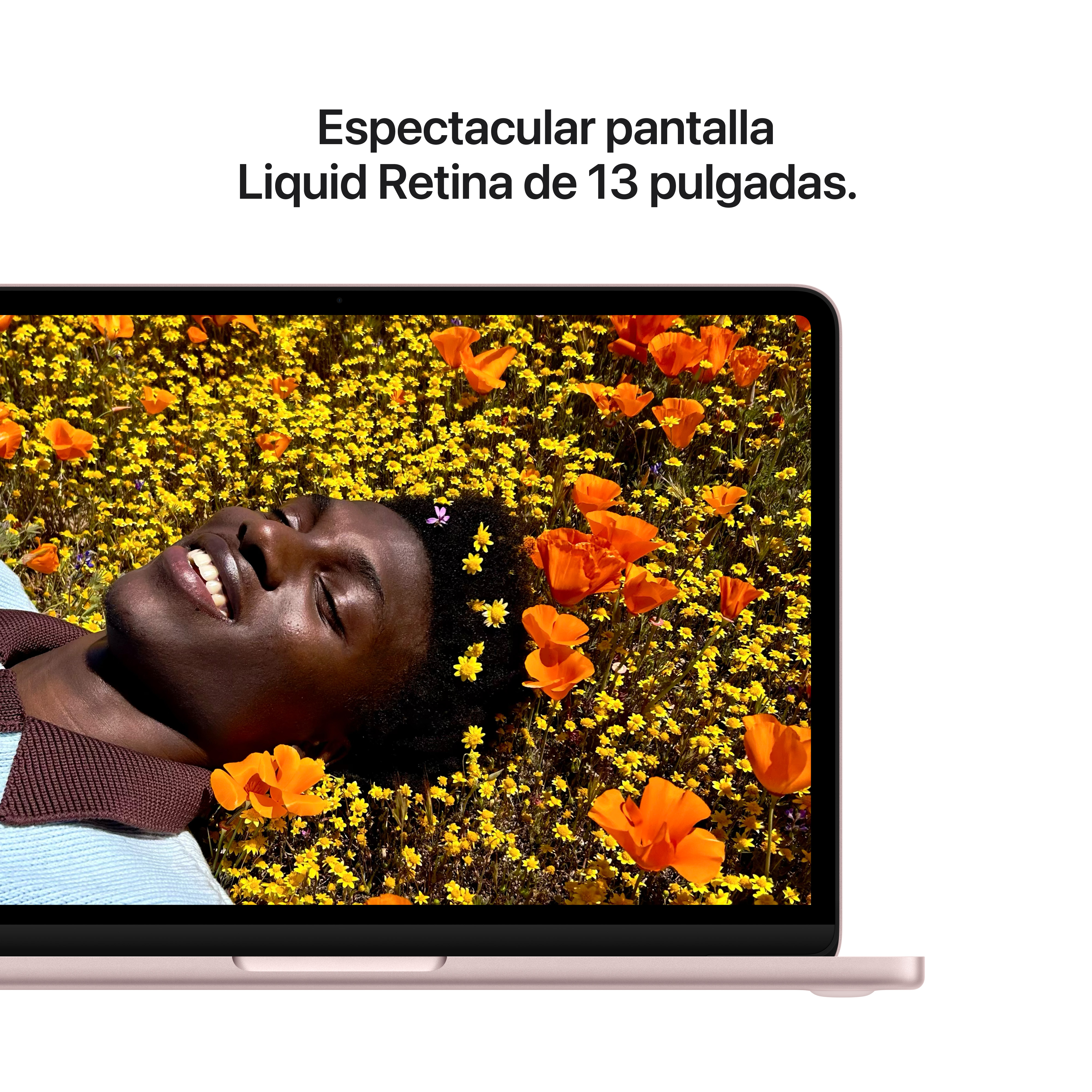 Mężczyzna leży w polu żółtych i pomarańczowych kwiatów, obok laptop.