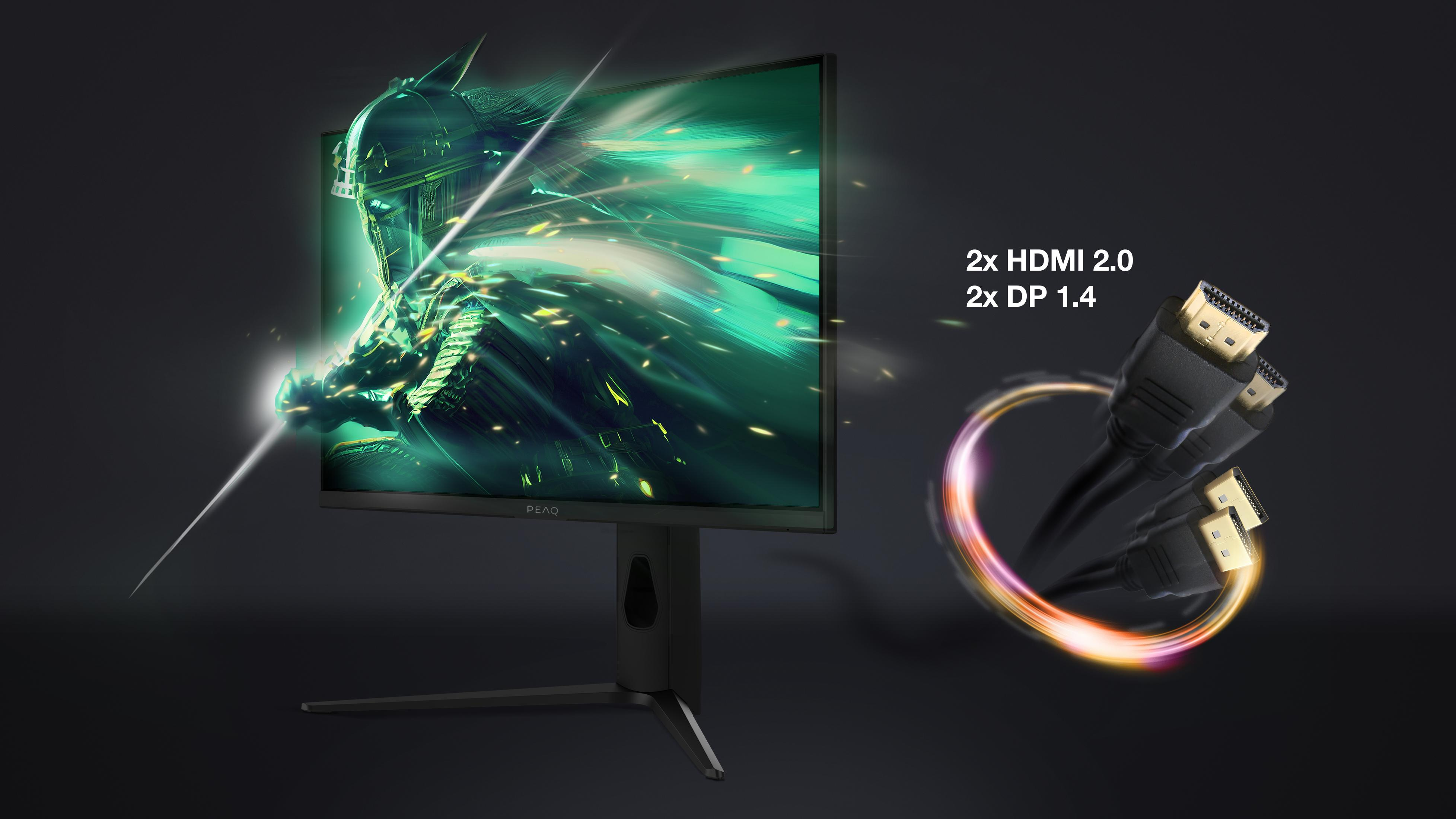 Ein Monitor zeigt ein grünes Bild eines Kriegers. Daneben liegen HDMI- und DP-Kabel.