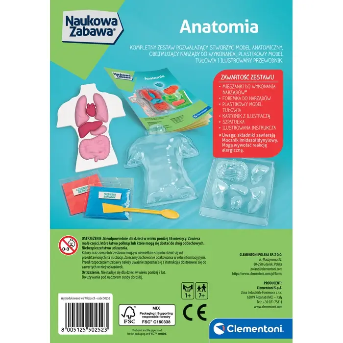 Juguete de anatomía: Modelo corporal, órganos, molde, instrucciones, espátula e ingredientes.
