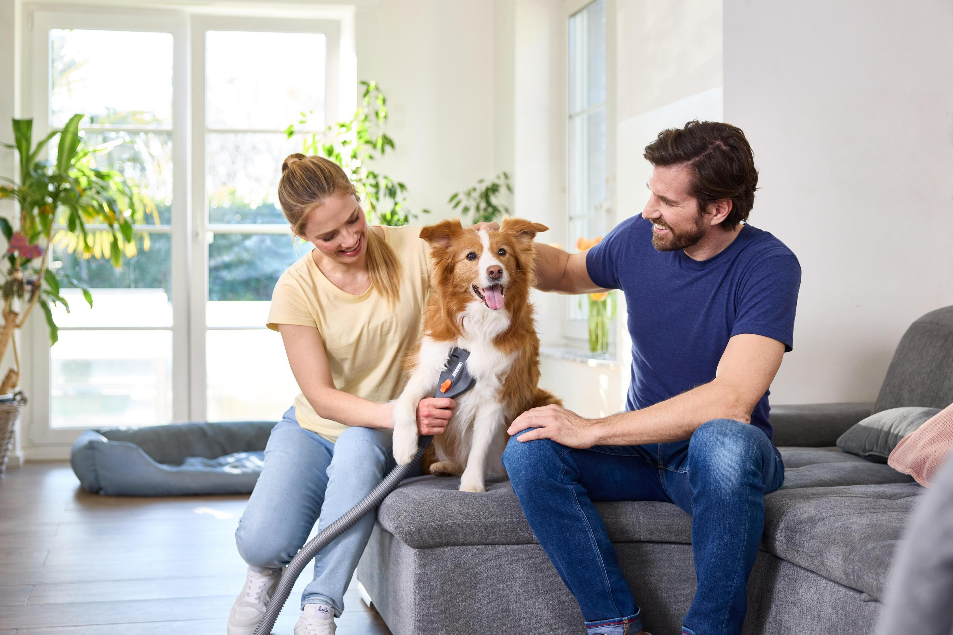 Ein Mann und eine Frau bürsten einen Hund auf einem Sofa.