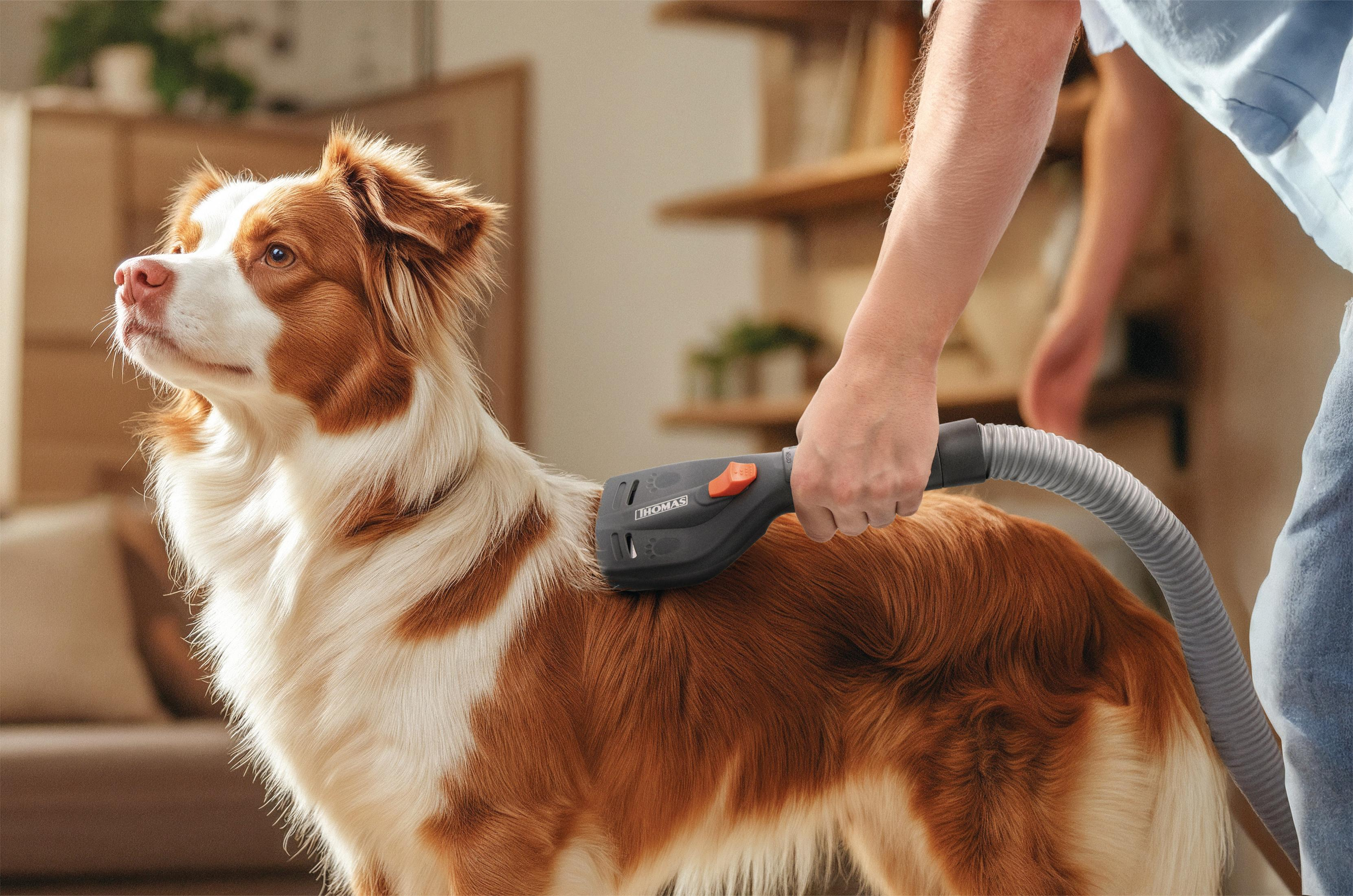 Eine Person bürstet einen Hund mit einem Haustierpflegegerät, das an einen Staubsauger angeschlossen ist.