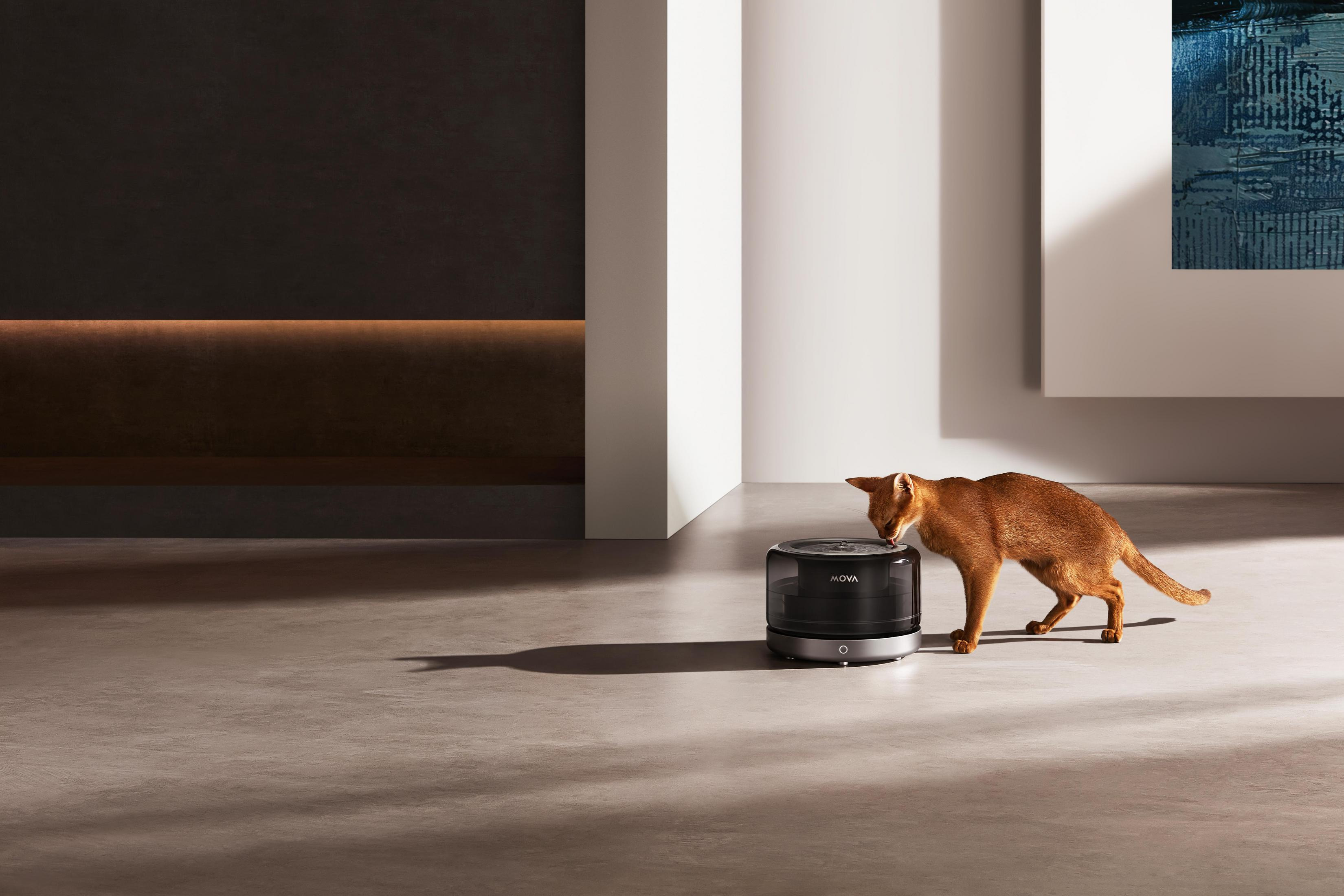 Un gato naranja bebe de una fuente de agua negra en una habitación moderna.