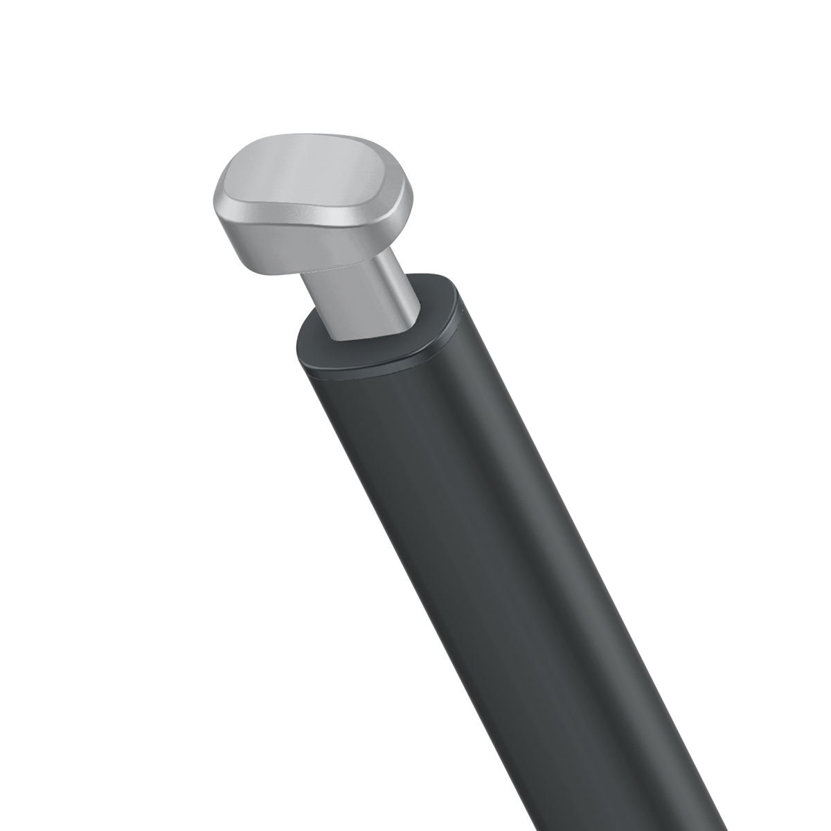 Un'asta nera con testa argentata. Sfondo bianco.
