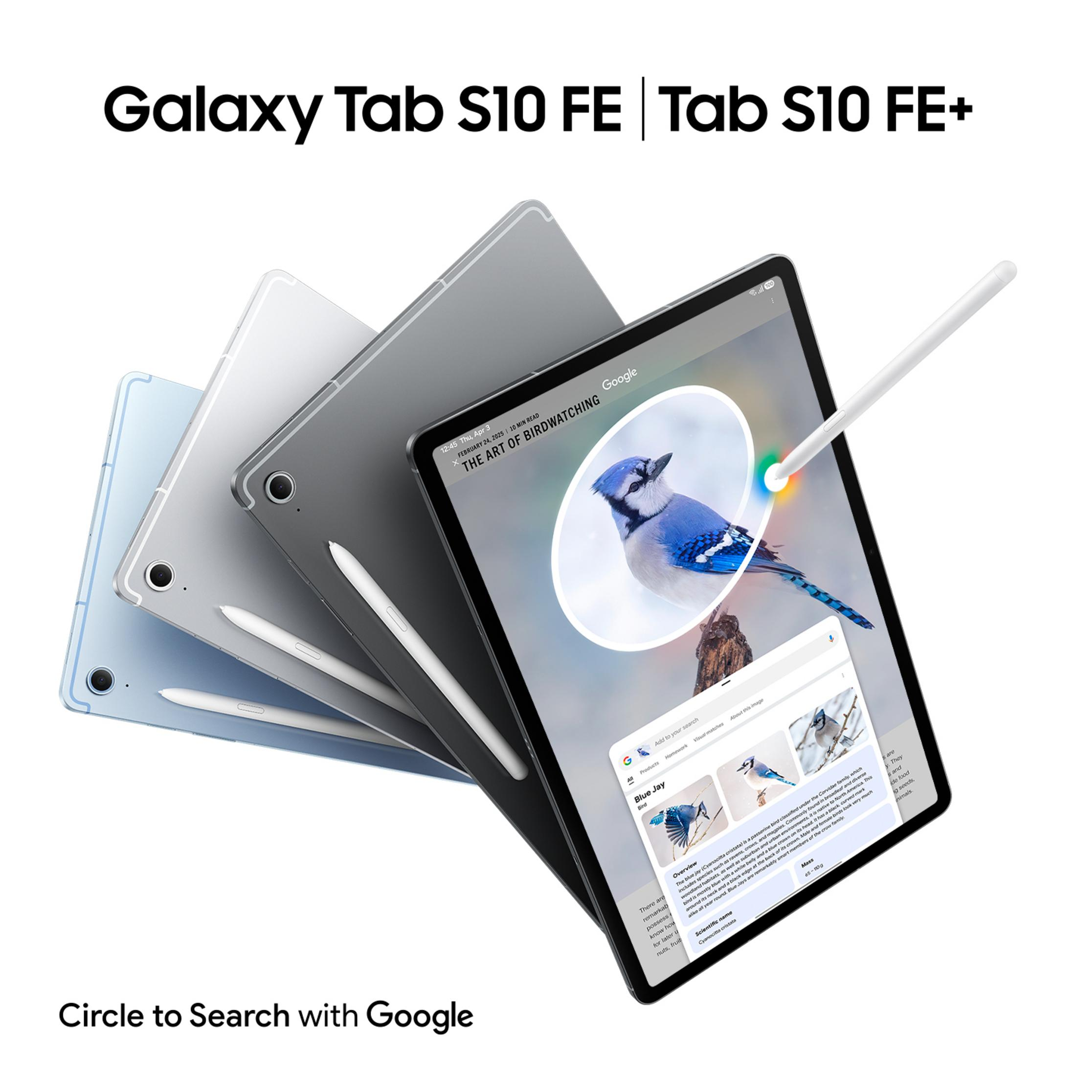 Vengono mostrati più tablet Samsung Galaxy Tab S10 FE e uno stilo. Un tablet mostra una ghiandaia su Google.