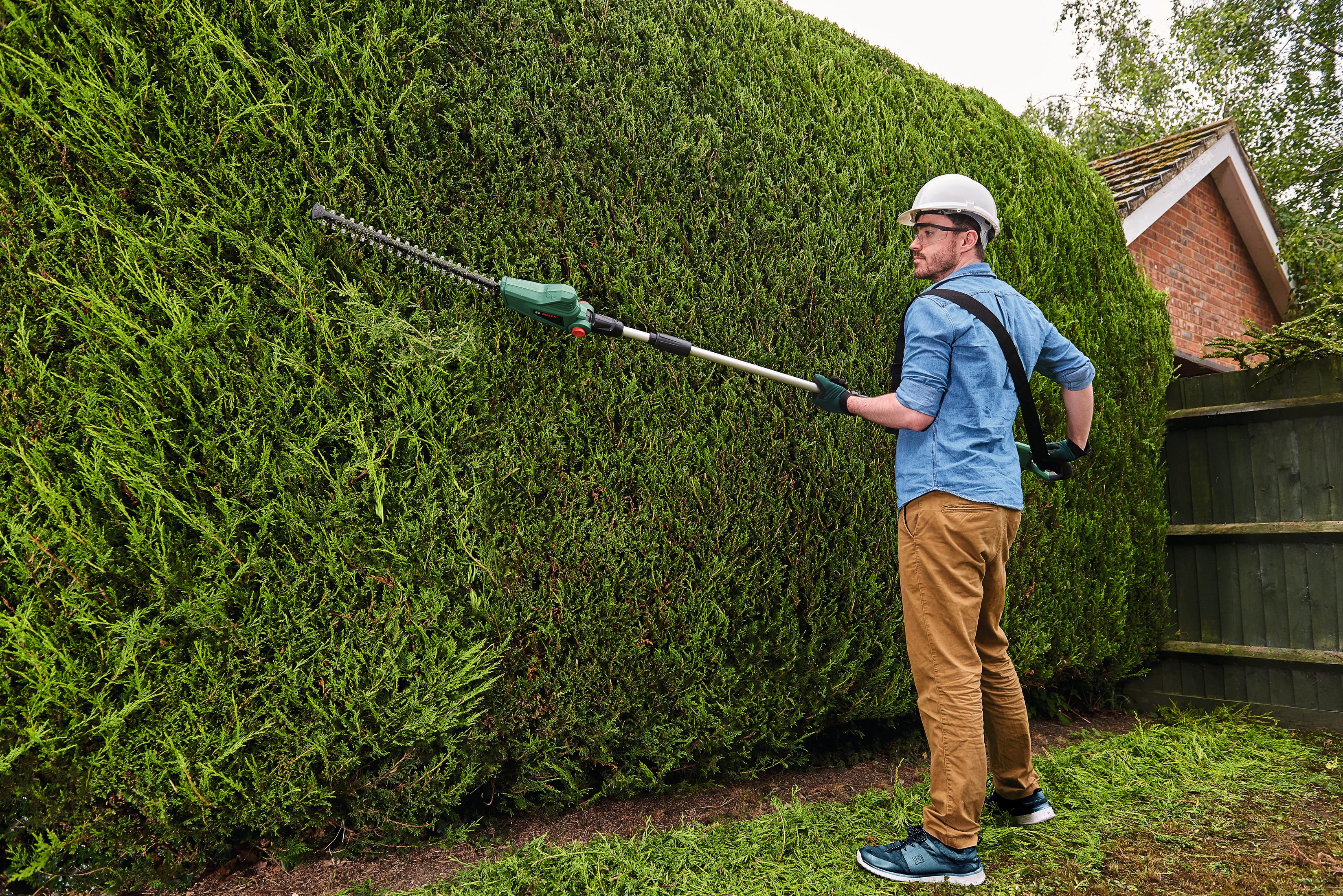 Mann trimmt Hecke mit Heckenschere, trägt Helm und Brille.