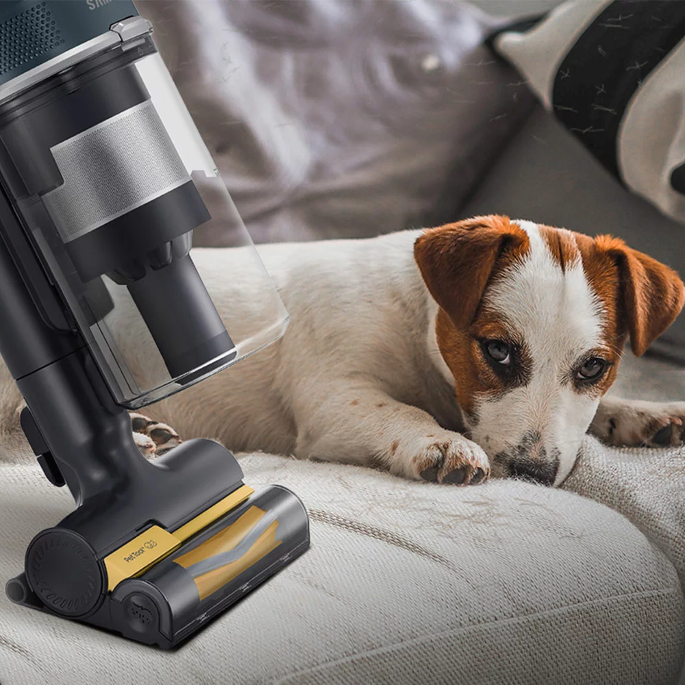 Ein Hund liegt auf einem Sofa neben einem Staubsauger.