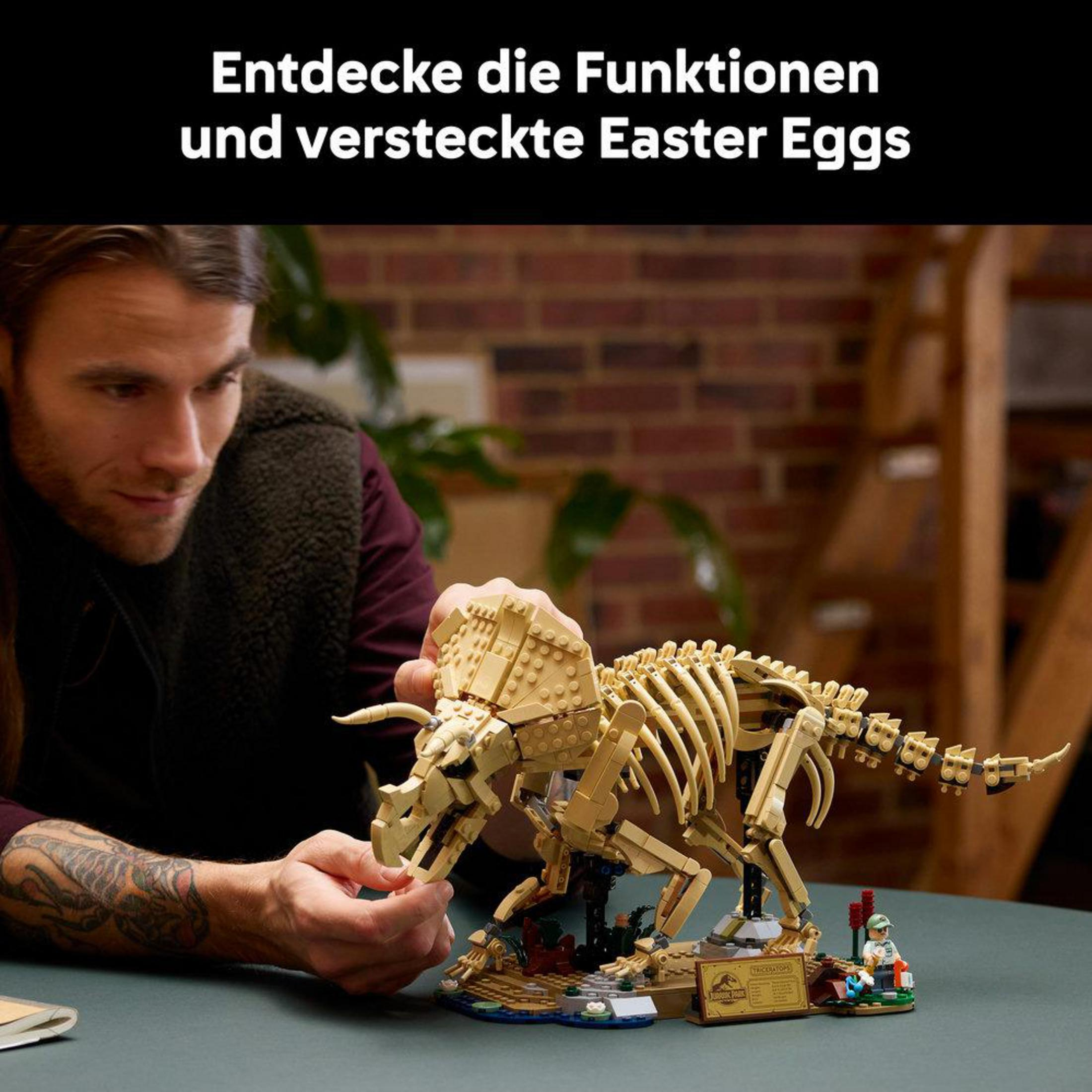 Un uomo costruisce uno scheletro di dinosauro Lego su una base.