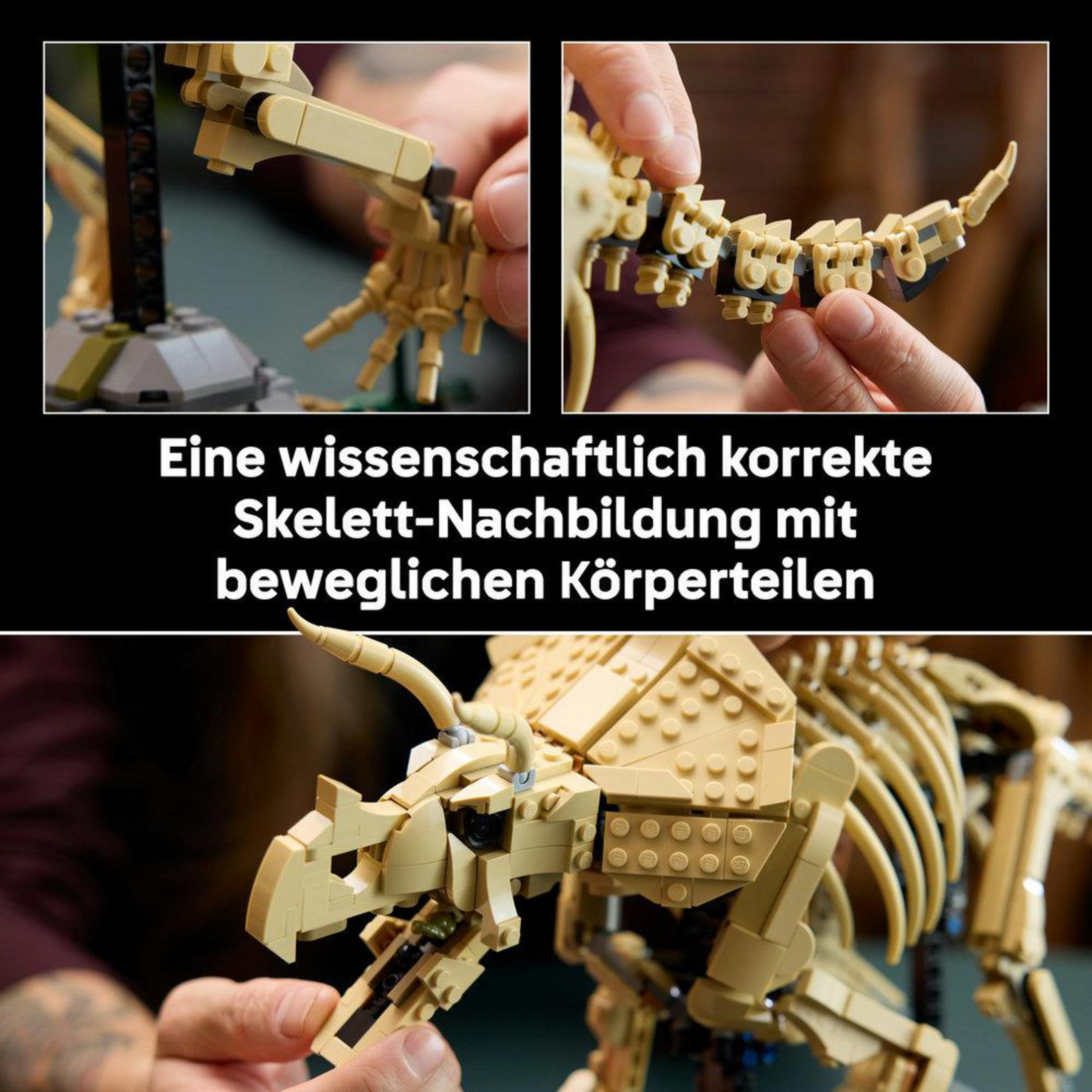Uno scheletro di dinosauro LEGO viene assemblato.