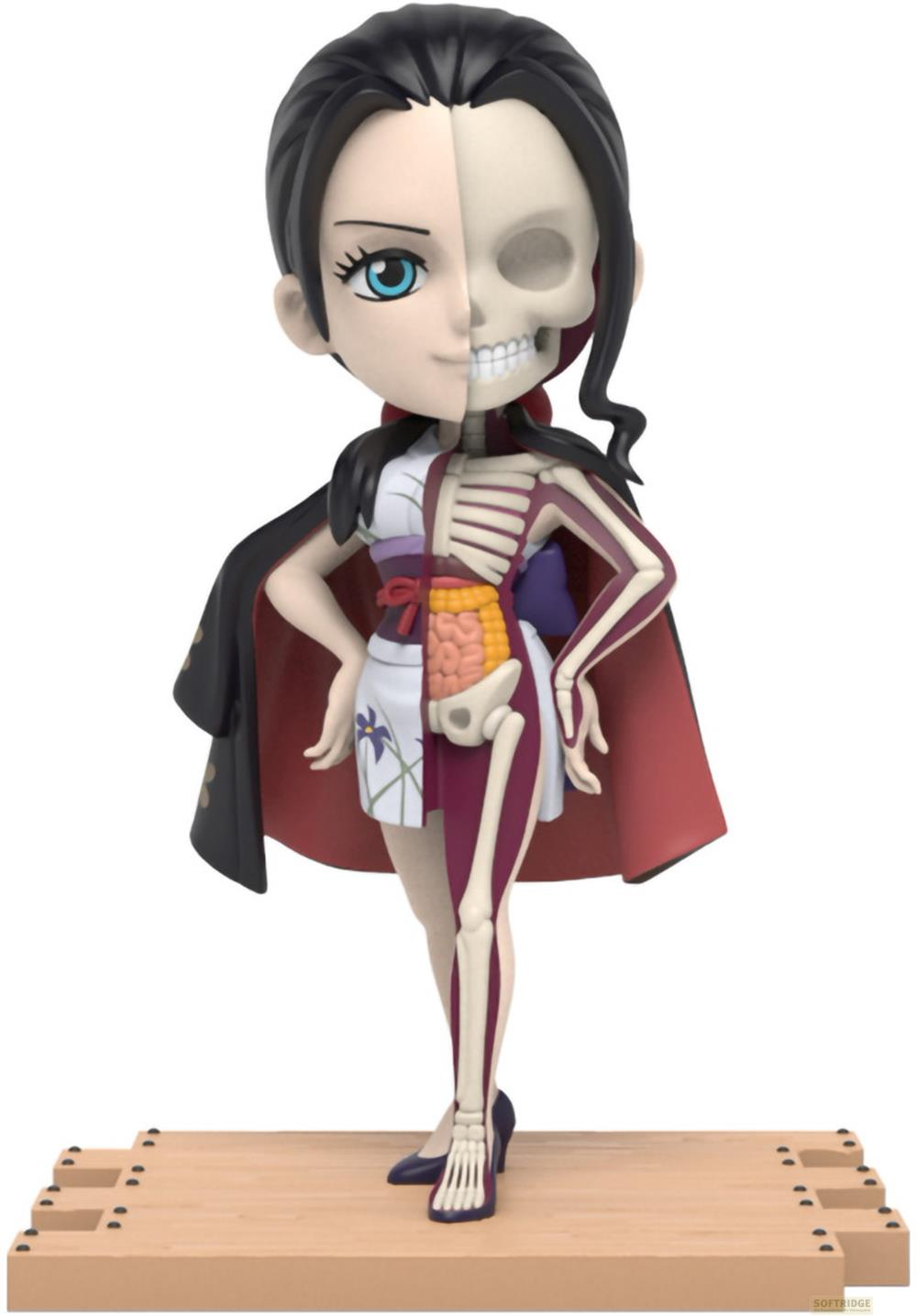 Figura z połową szkieletu i połową anatomii na białym tle.