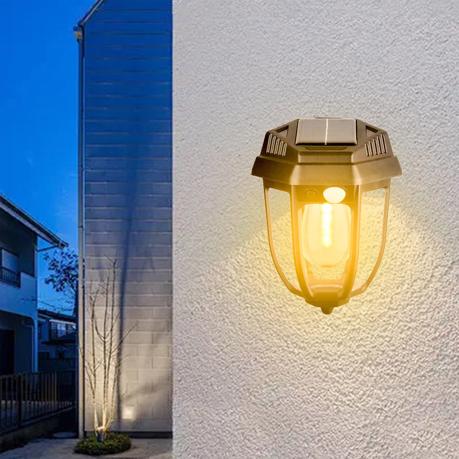 Una lampada da parete solare illumina una piccola pianta all'aperto.