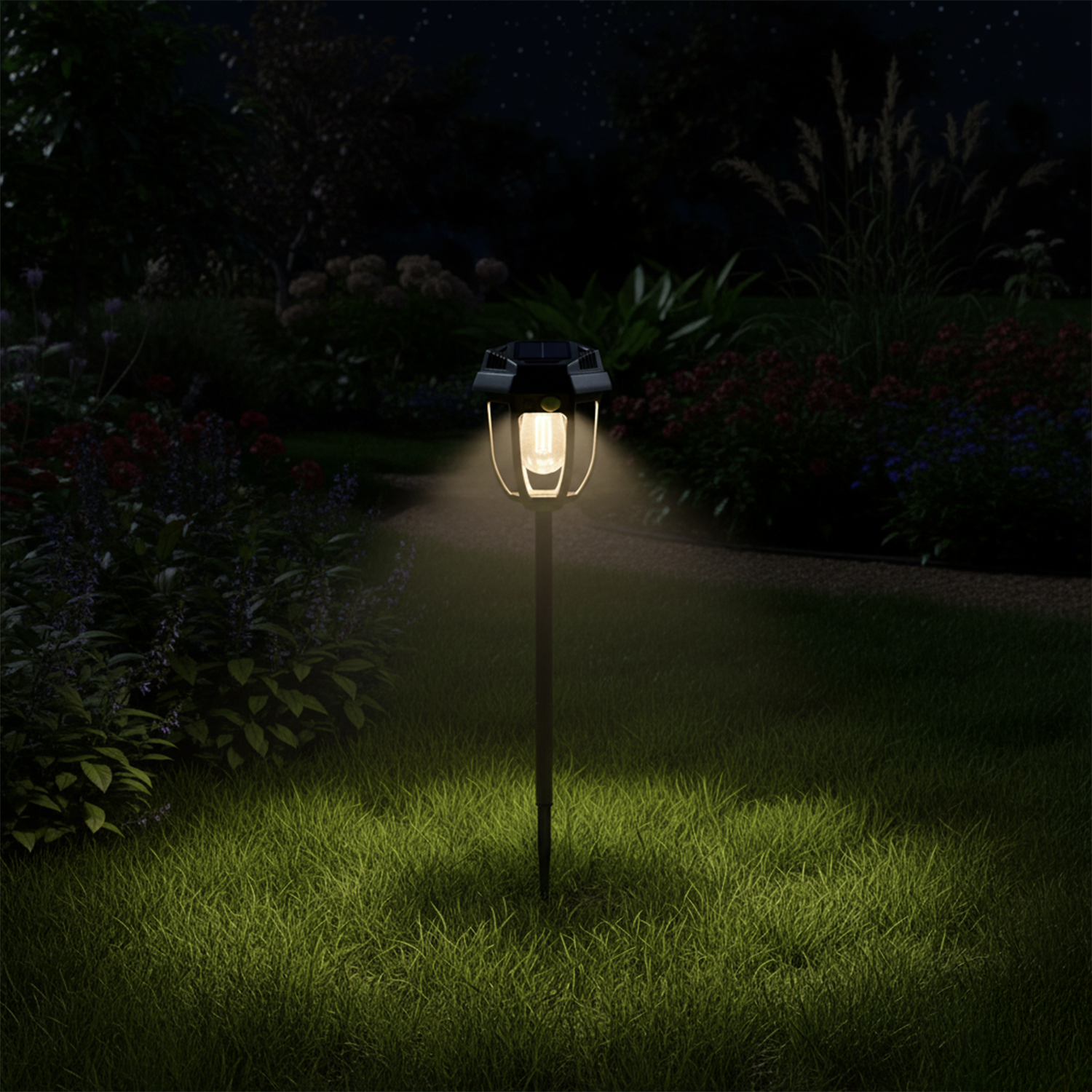 Una luce solare da giardino illumina un sentiero di notte, proiettando una luce calda sull'erba.