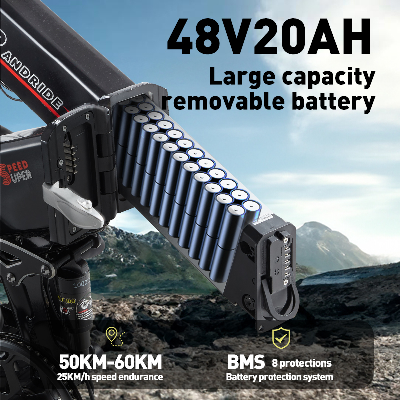 48V 20AH abnehmbarer Akku mit 50-60 km Reichweite und BMS.