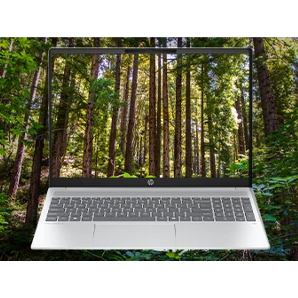 Srebrny laptop wyświetlający gęsty las z wysokimi drzewami i zielonym listowiem.