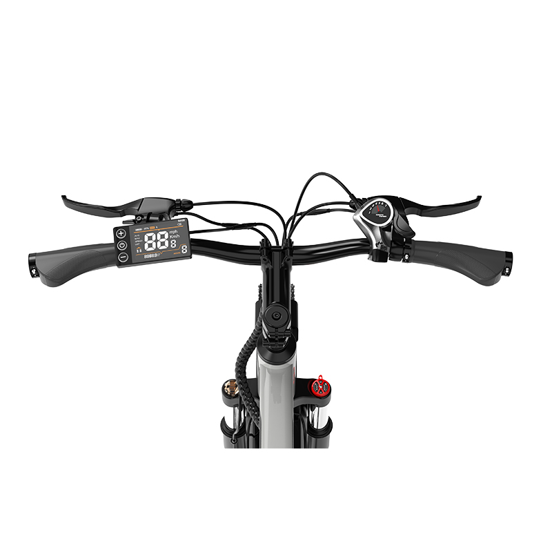 Lenker eines E-Bikes mit Display, Bremshebeln, Gangschaltung und Griffen.