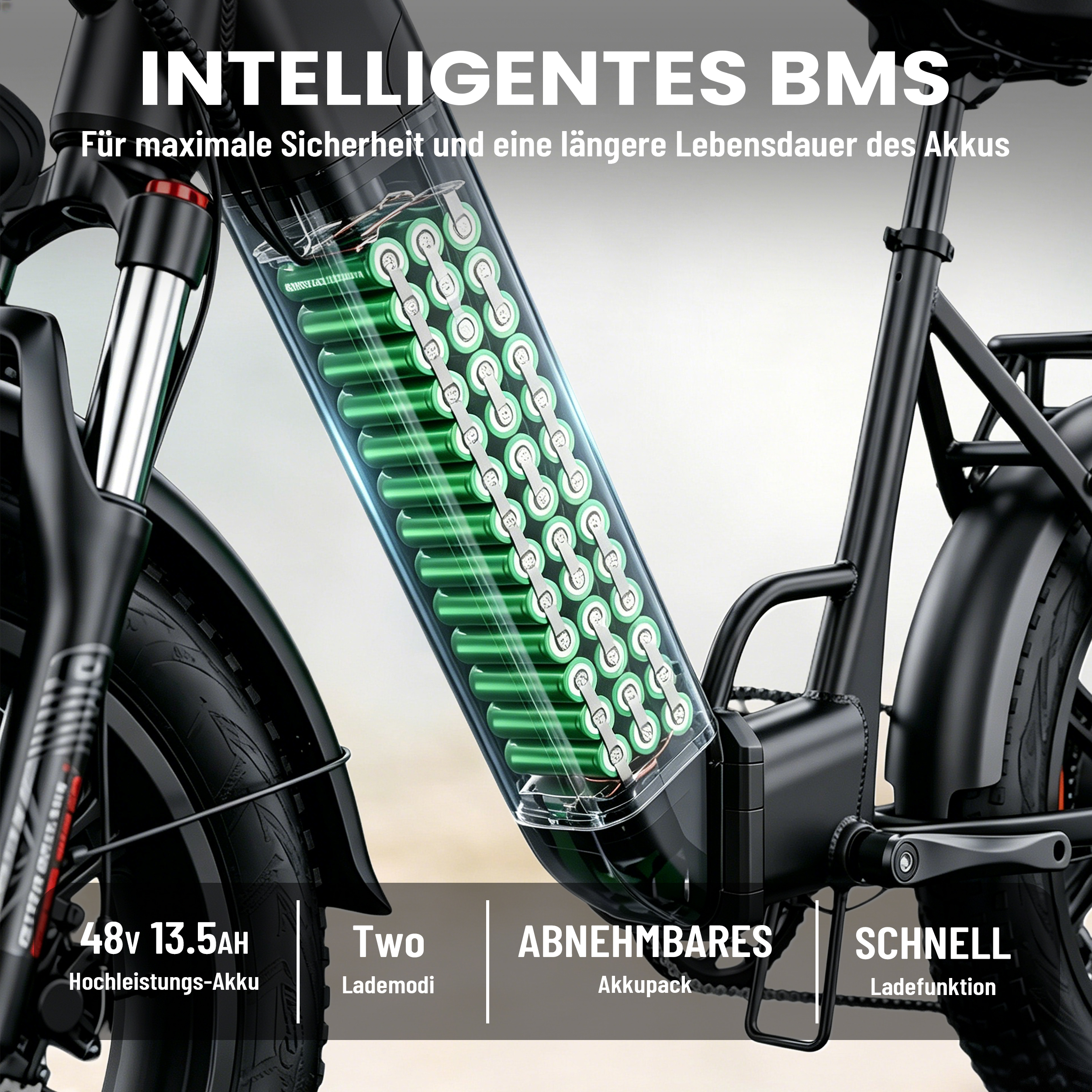 Nahaufnahme eines E-Bikes mit sichtbaren Batteriezellen. Text hebt BMS hervor.