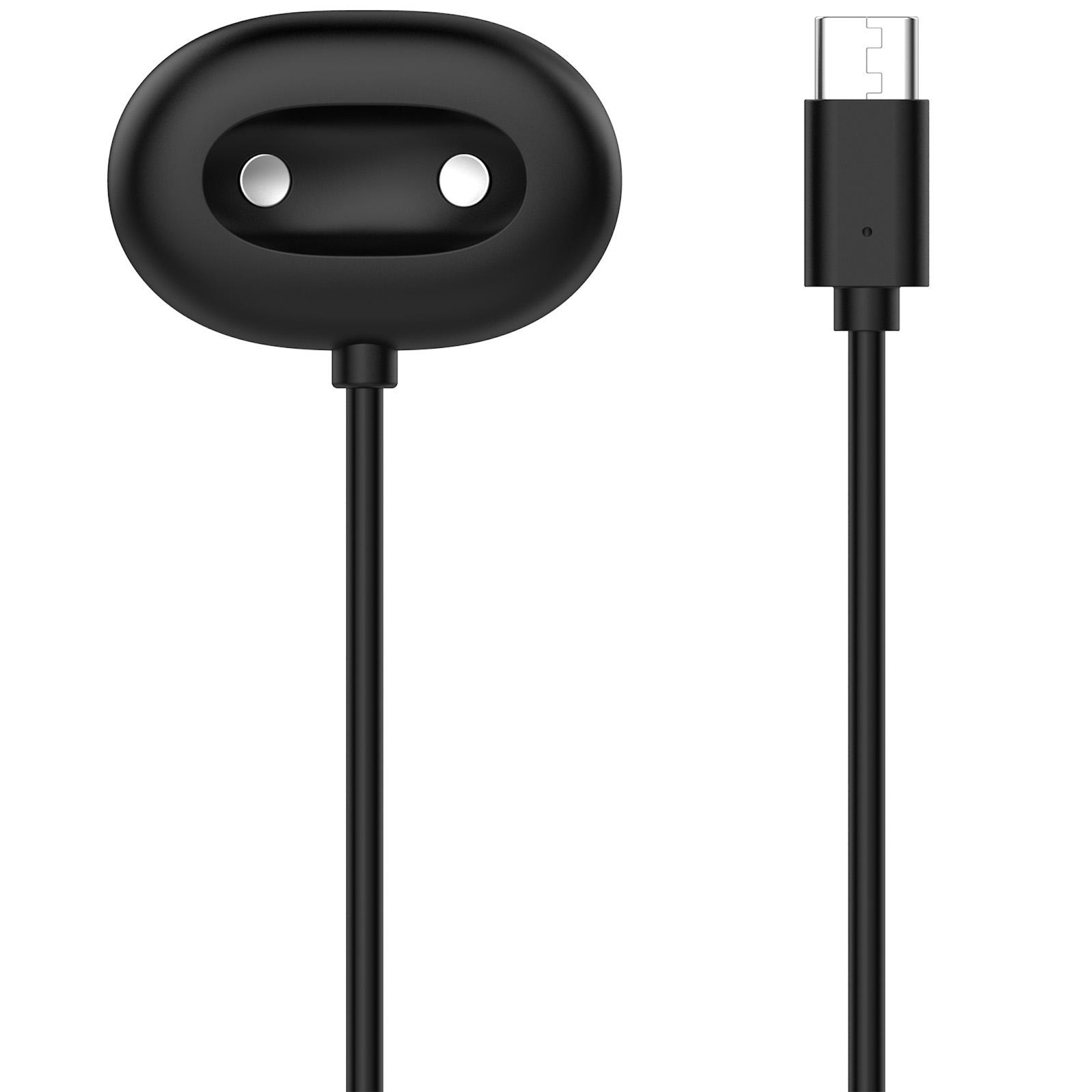 Schwarzes Ladegerät mit zwei Pins und einem USB-C-Anschluss.