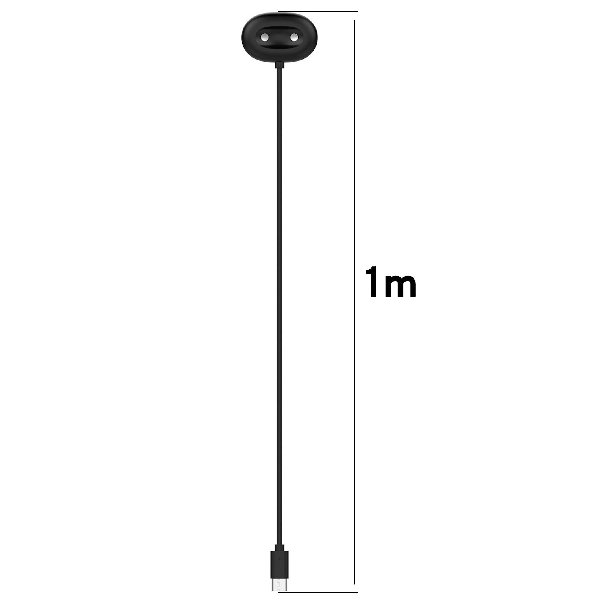 Schwarzes Ladekabel mit USB-Anschluss und ovalem Magnetstecker, 1m lang.