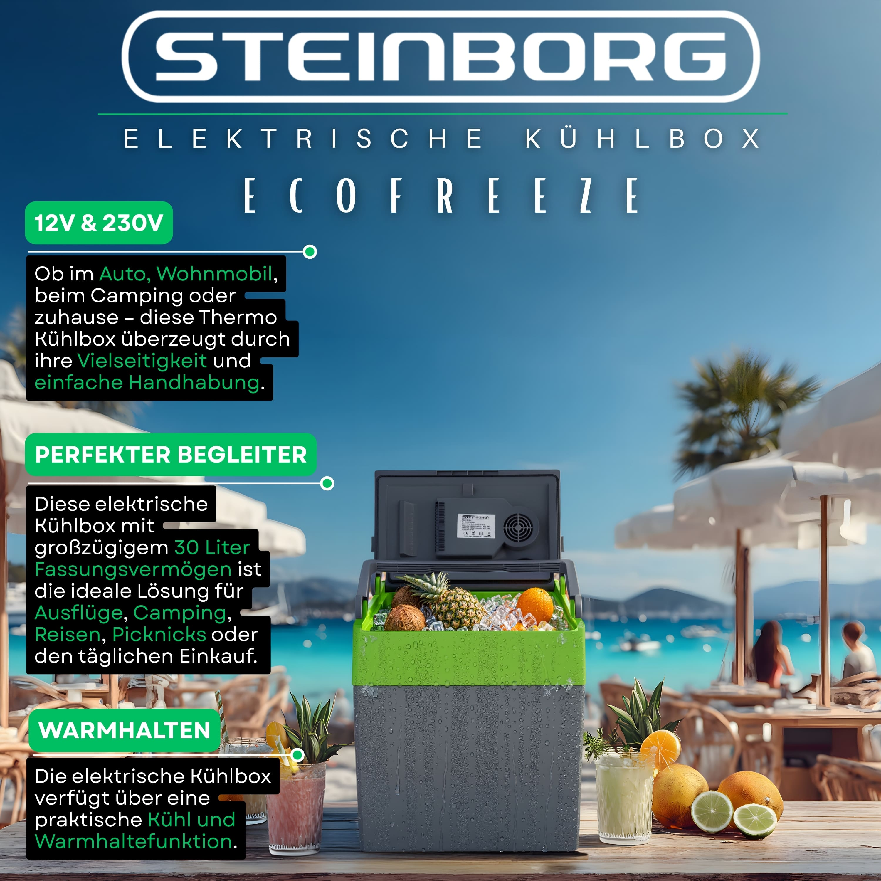 Eine grüne und graue Kühlbox mit Früchten und Eis, am Strand aufgestellt.