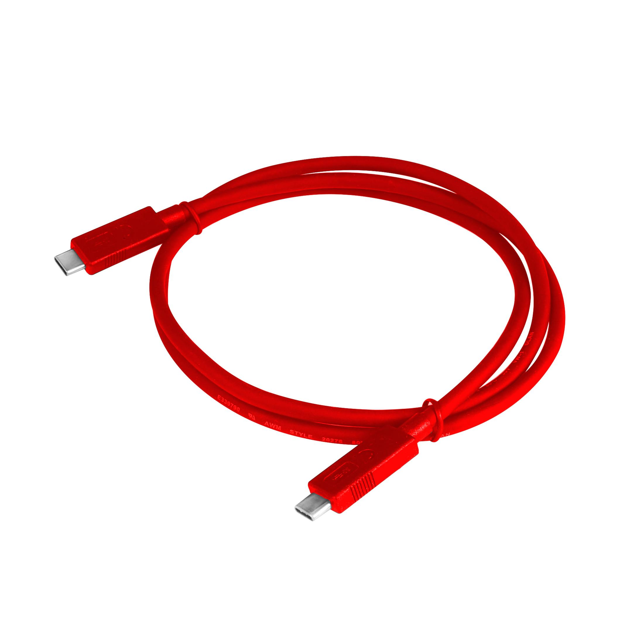 Un cavo USB-C rosso arrotolato con connettori argentati su sfondo bianco.