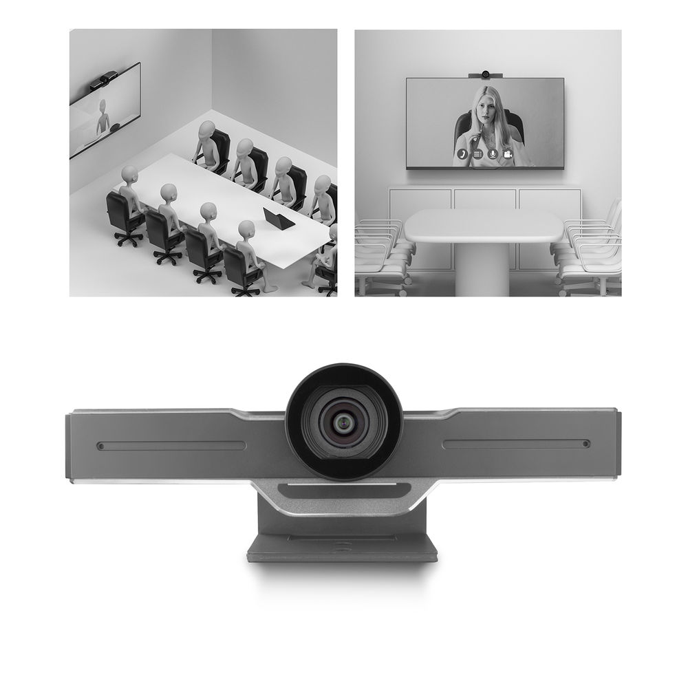 Webcam grigia, due scene di conferenza: una con figure, una con donna.
