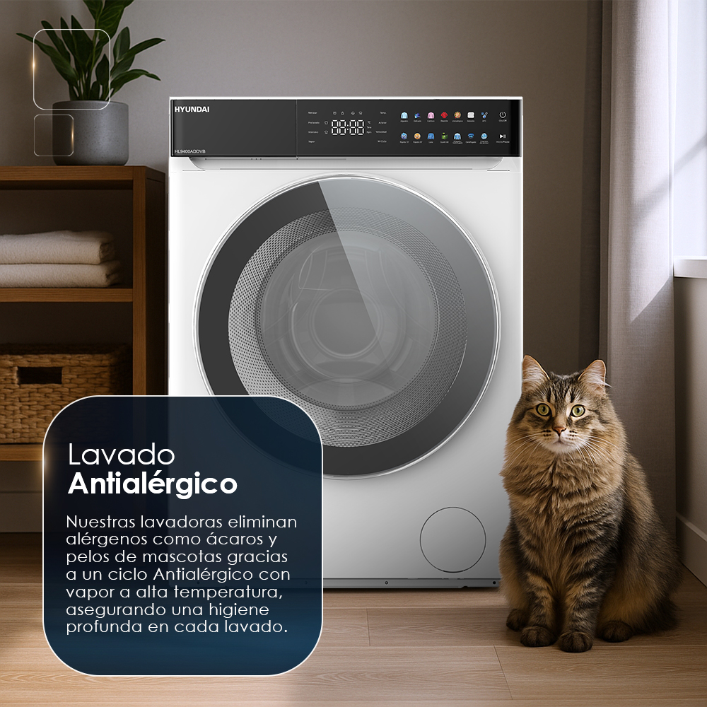 Un gato se sienta junto a una lavadora con un cartel que anuncia un ciclo antialérgico.