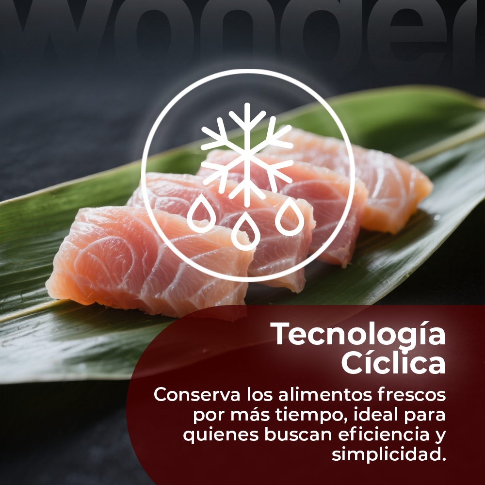Trozos de salmón fresco sobre una hoja con símbolo de escarcha.