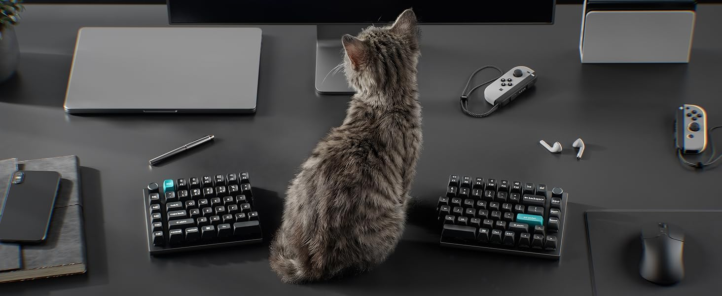 Pręgowany kot siedzi na biurku z laptopami i klawiaturami wokół.