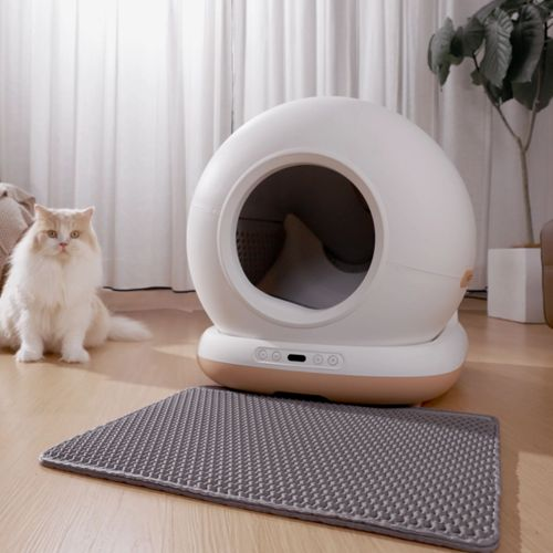 Eine weiße Katze sitzt neben einem runden, weißen Katzenklo auf einem Holzboden.