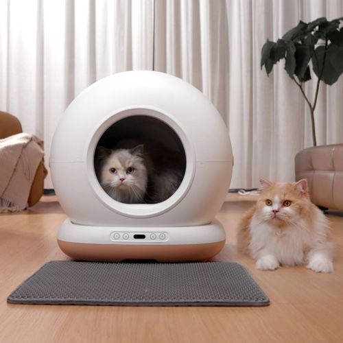 Eine Katze sitzt in einer weißen, kugelförmigen Katzentoilette, eine andere liegt daneben.