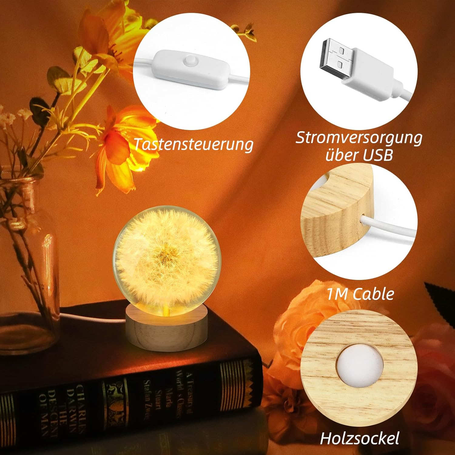 Eine Lampe mit einem Löwenzahnschirm auf einem Buch, mit USB-Stromversorgung.