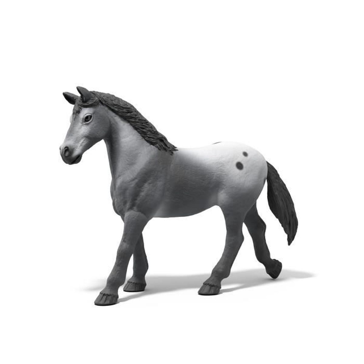 Graues Pferd mit dunklen Flecken auf der Hinterhand, das auf weißem Hintergrund steht.