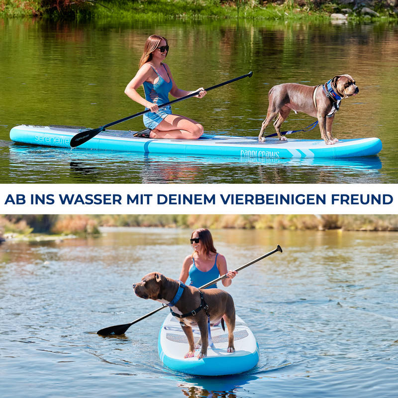 Frau und Hund auf Paddleboards auf ruhigem Wasser.