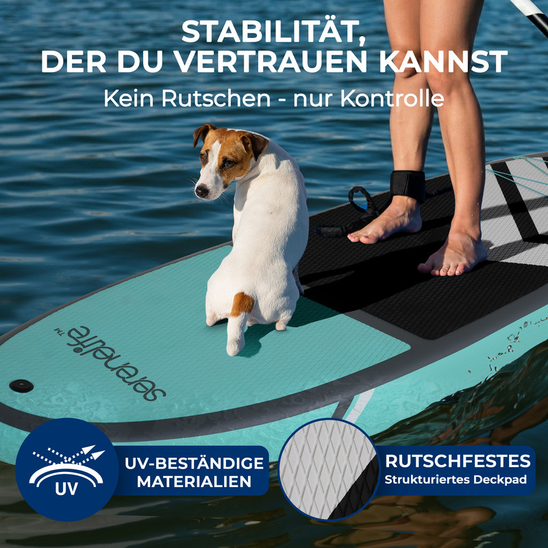 Ein Hund sitzt auf einem Stand-Up-Paddleboard mit einer Person.