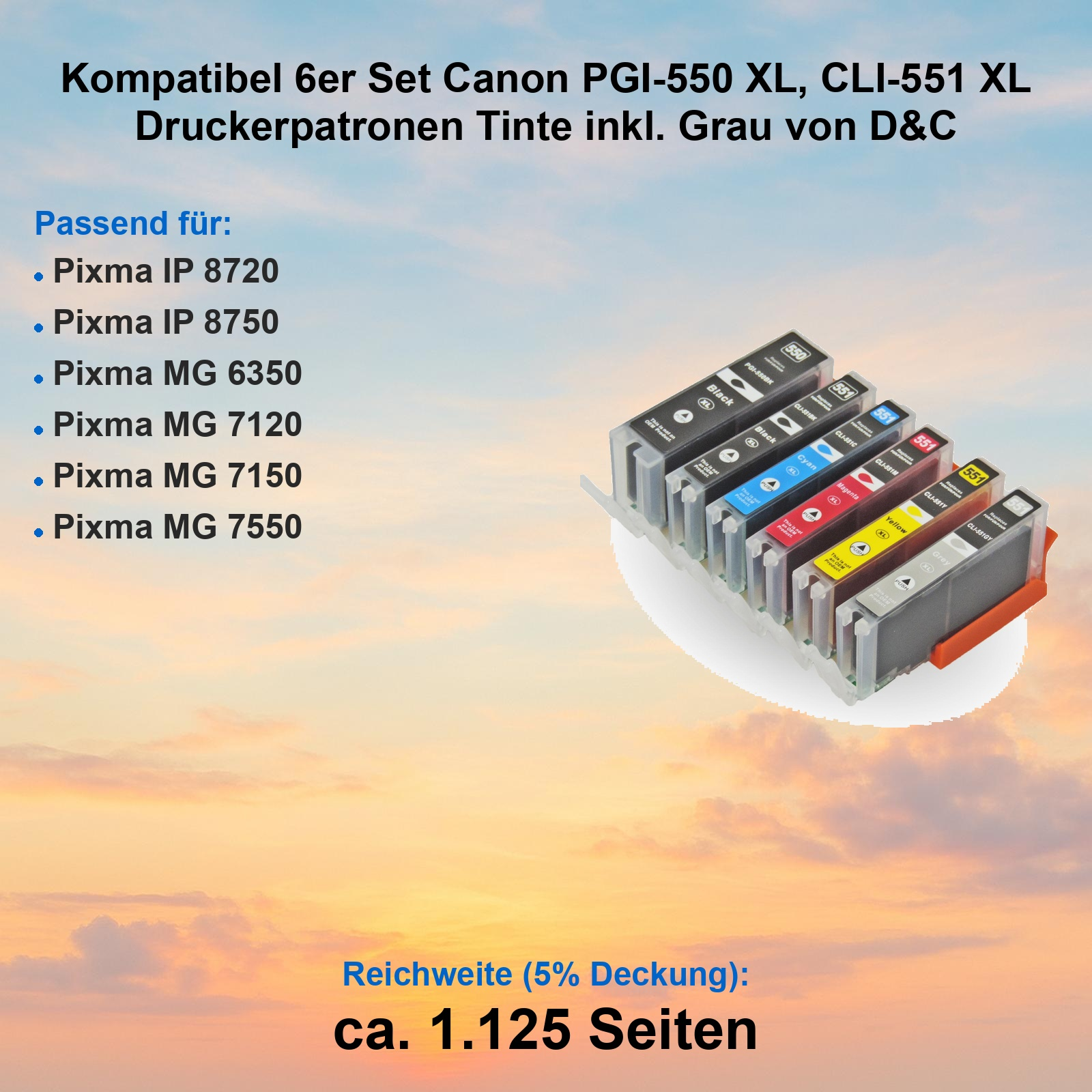 Sechs Canon Tintenpatronen: Schwarz, Cyan, Magenta, Gelb, Grau, Schwarz.