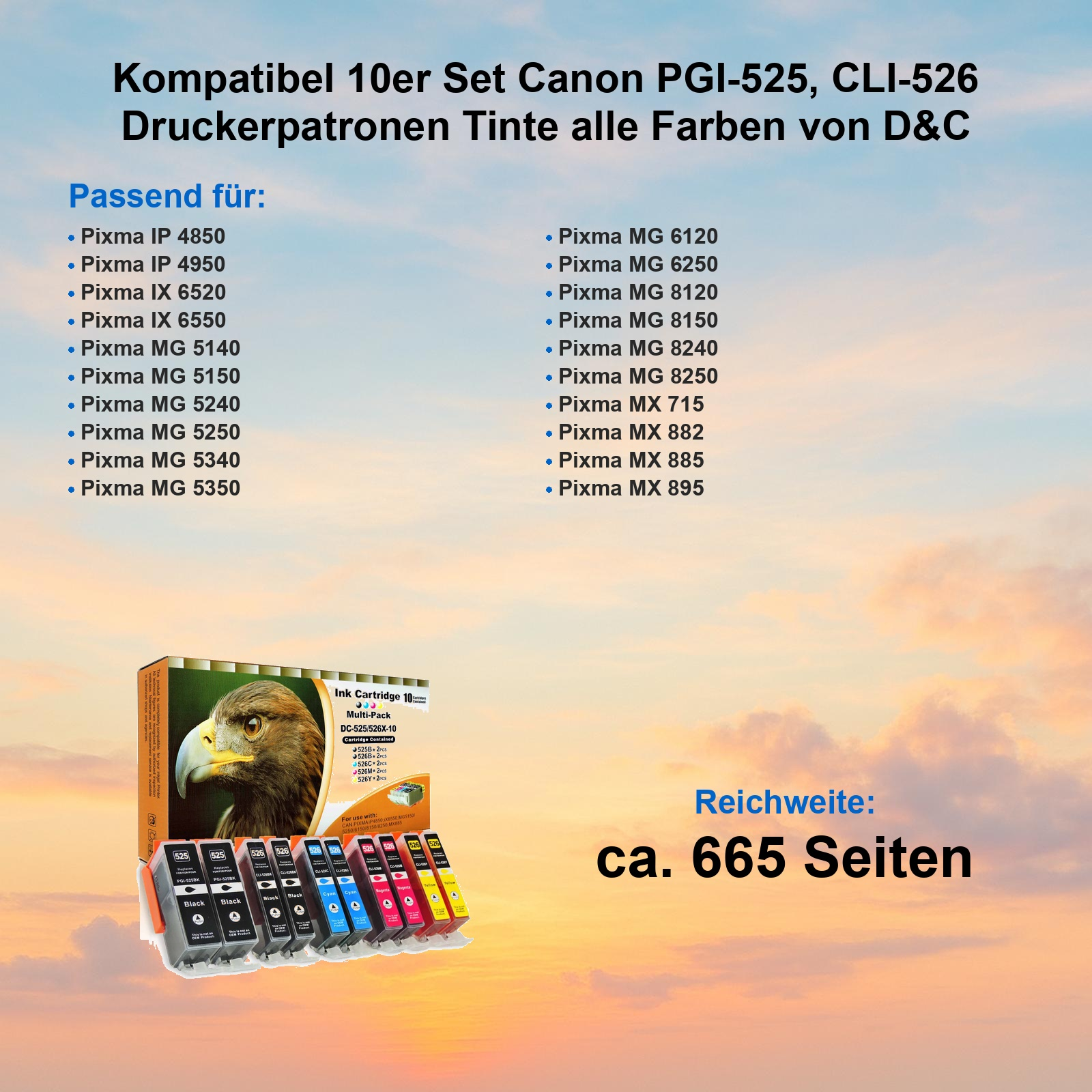 10er Set kompatible Canon Druckerpatronen, mit Adler und Patronen.