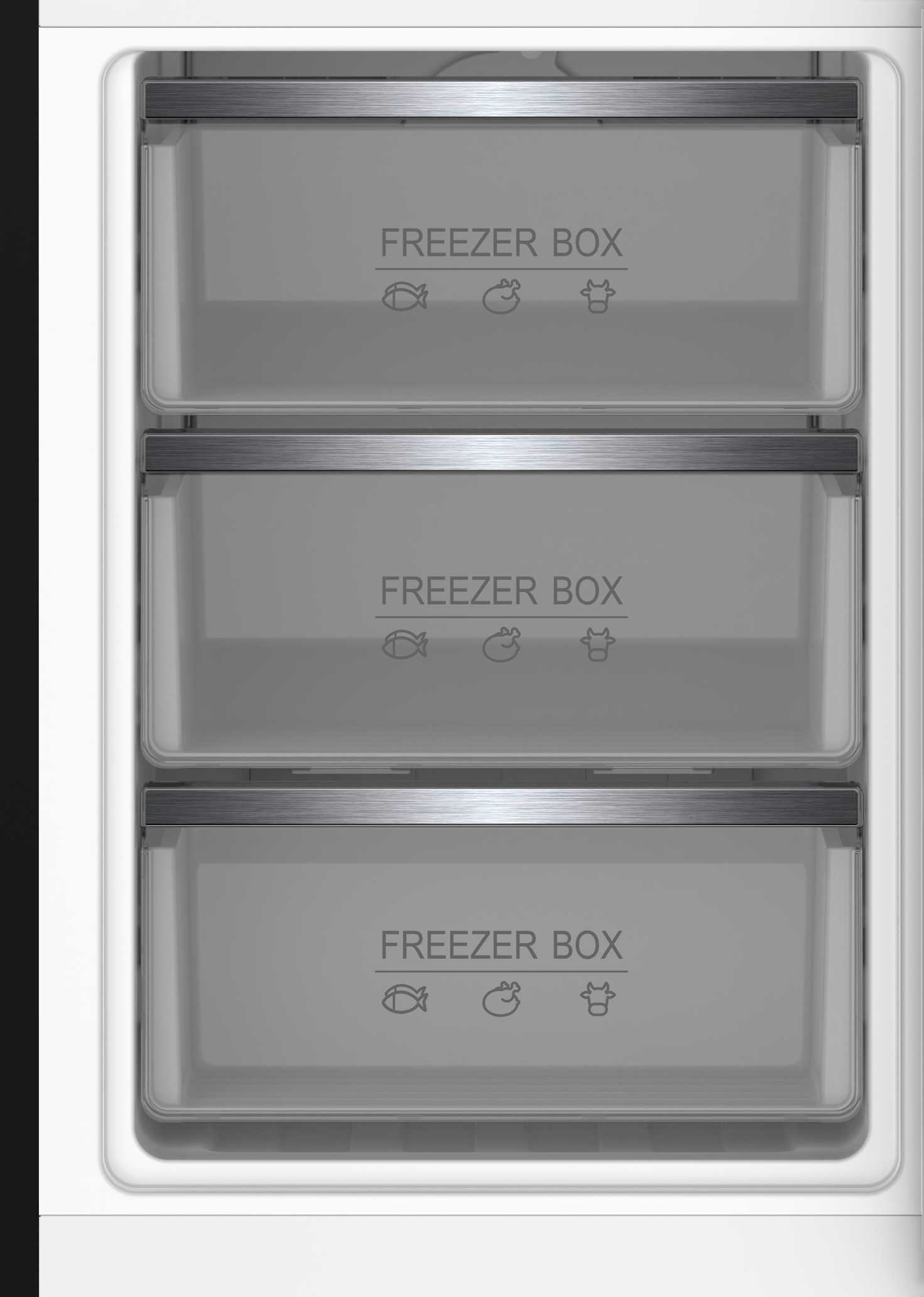 Tres cajas congeladoras transparentes con iconos de pescado, ave y res.