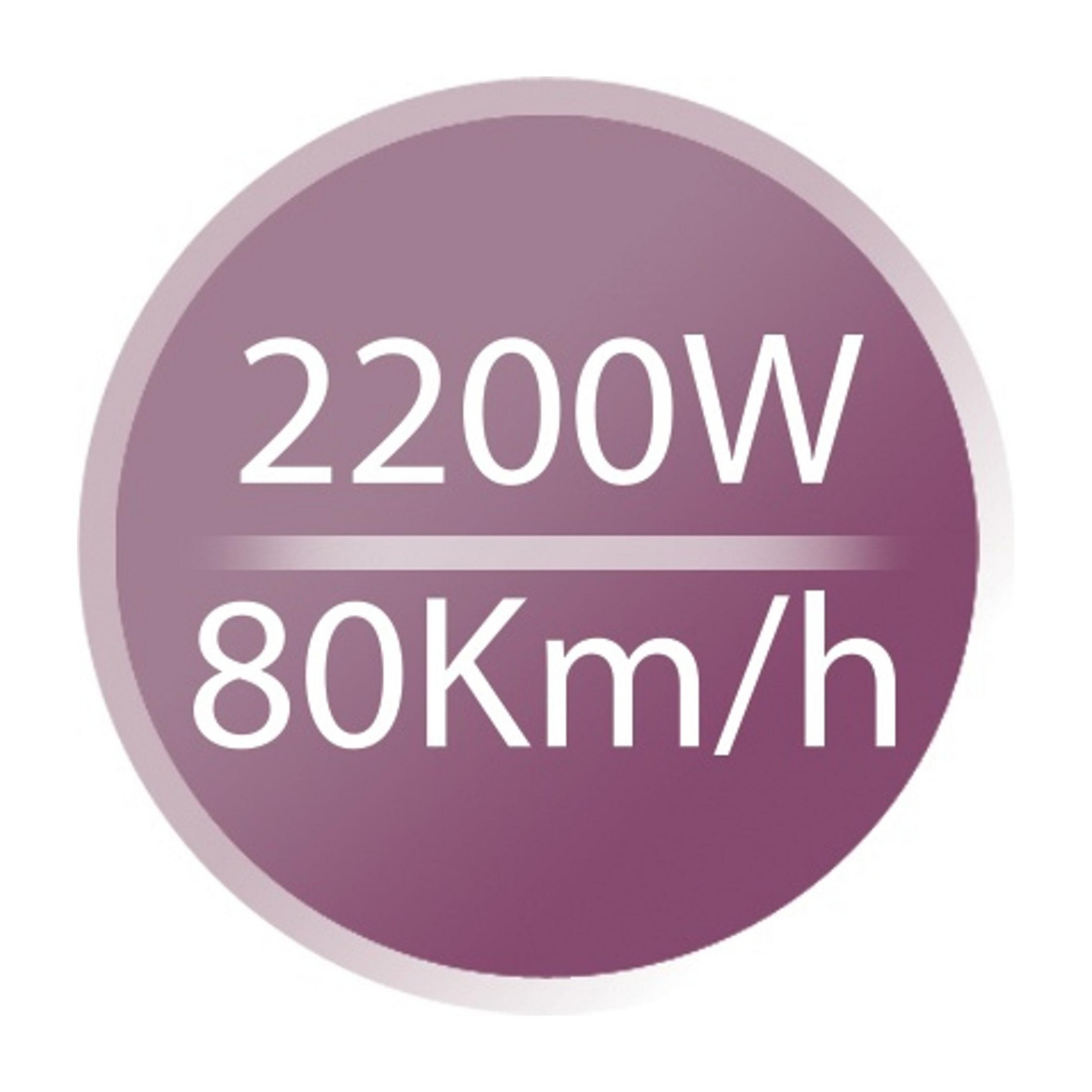 Kreissymbol mit 2200W und 80 km/h.