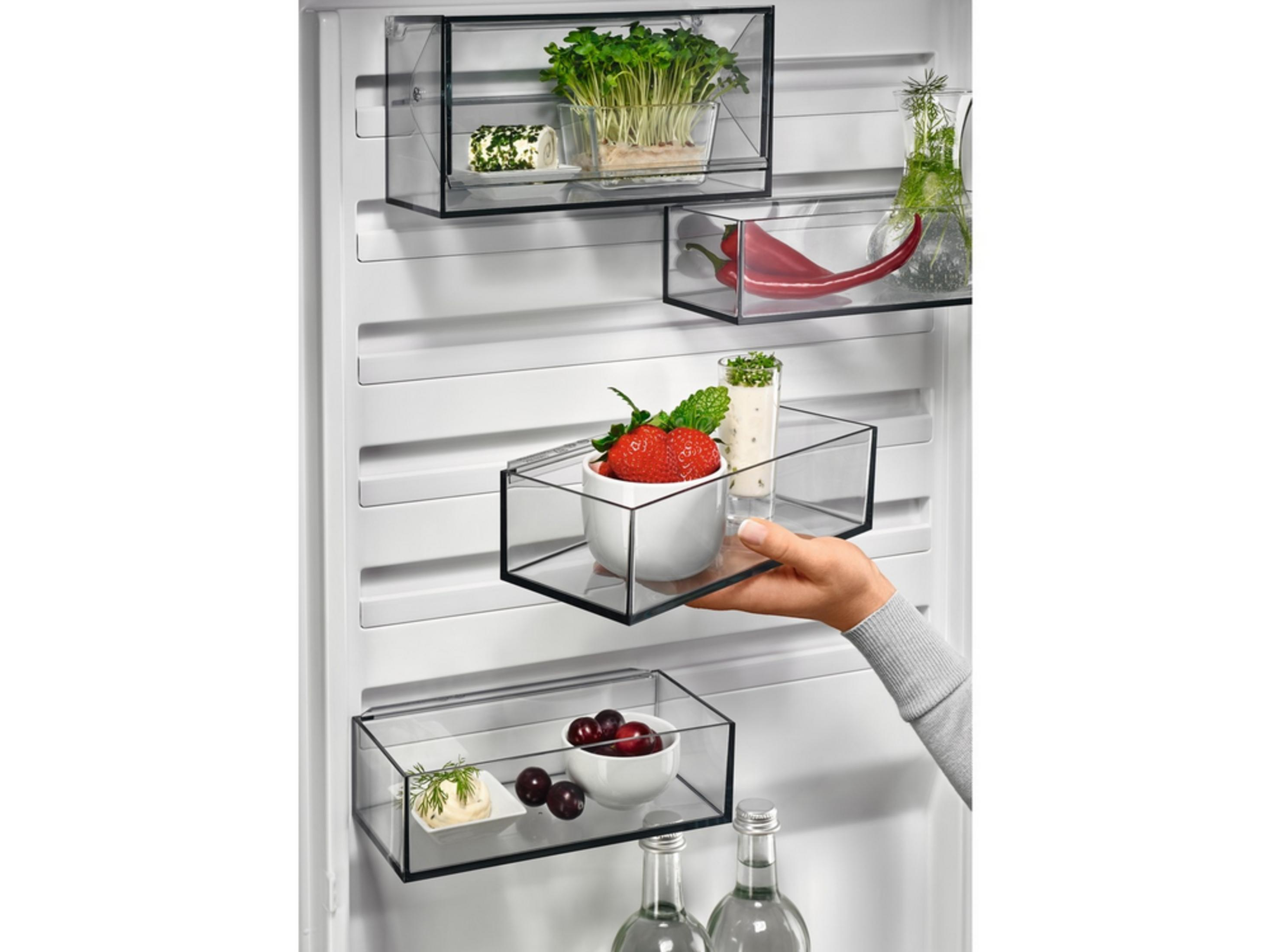 Comida fresca en cajones transparentes del refrigerador: bayas, hierbas, chiles y brotes.