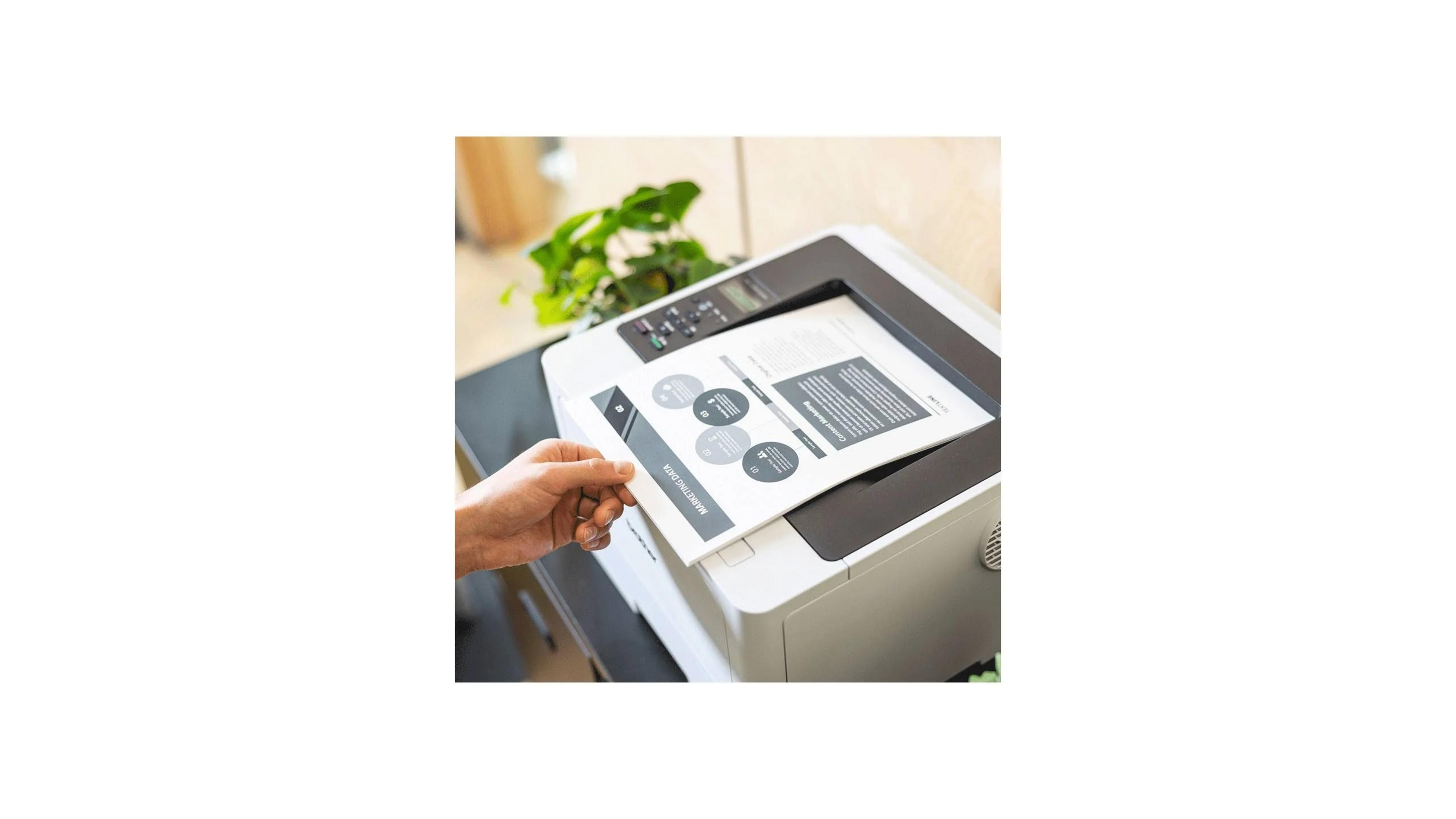 Eine Hand platziert ein Dokument auf einem Drucker. Im Hintergrund eine Pflanze.