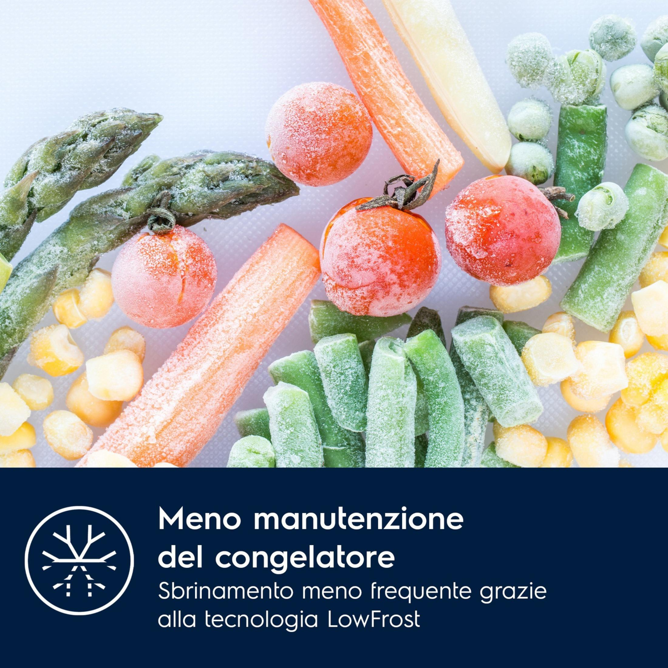 Mrożone warzywa: groch, fasola, marchewka i kukurydza na białym tle.
