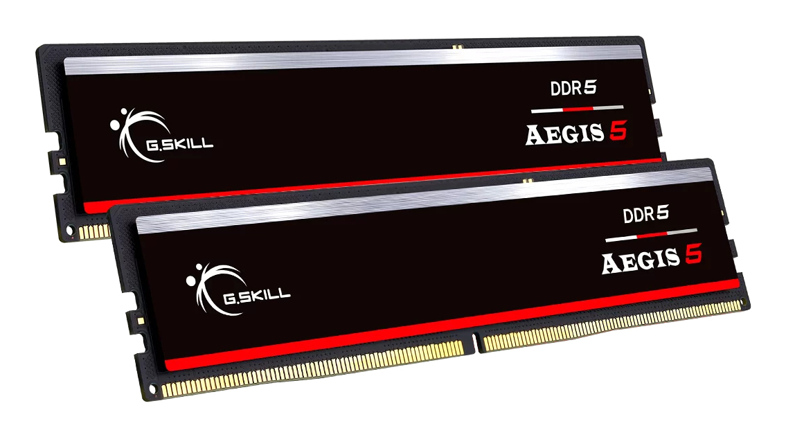 Due moduli RAM G.Skill DDR5 AEGIS 5 neri con accenti argentati.