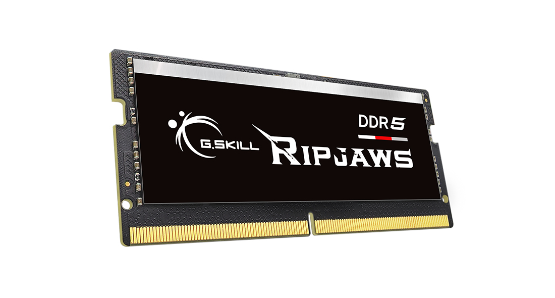 Un modulo RAM G.Skill Ripjaws DDR5 con etichetta nera e contatti dorati.