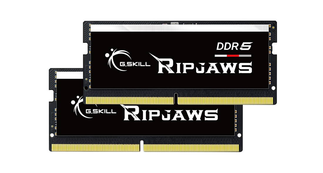 Due moduli RAM G.Skill Ripjaws DDR5 neri con connettori dorati su sfondo bianco.