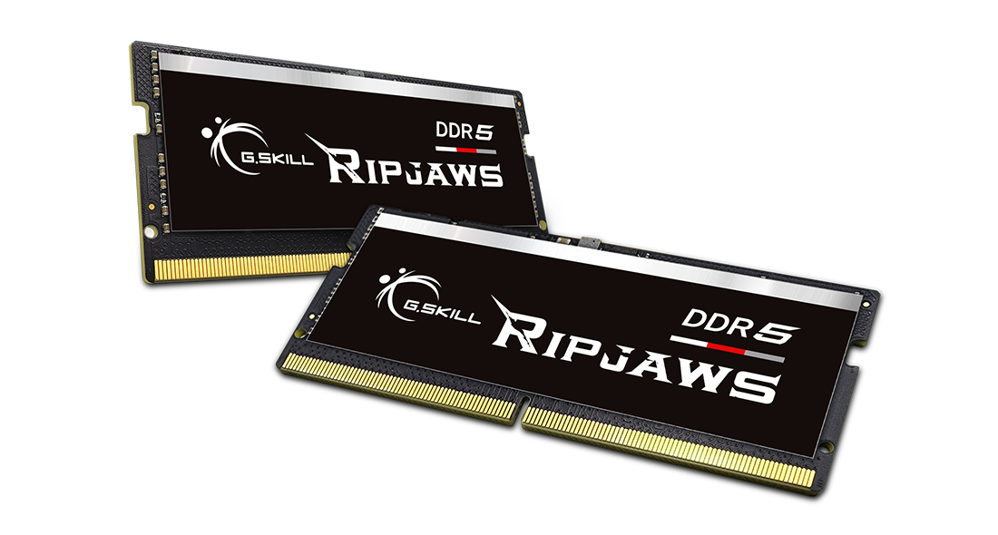 Due moduli RAM G.Skill Ripjaws DDR5 su sfondo bianco.