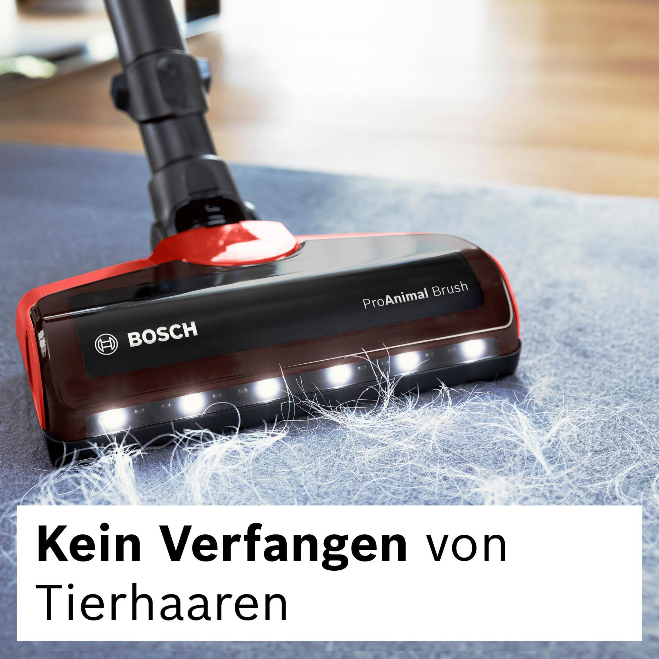 Spazzola aspirapolvere Bosch con peli di animali su tappeto blu.