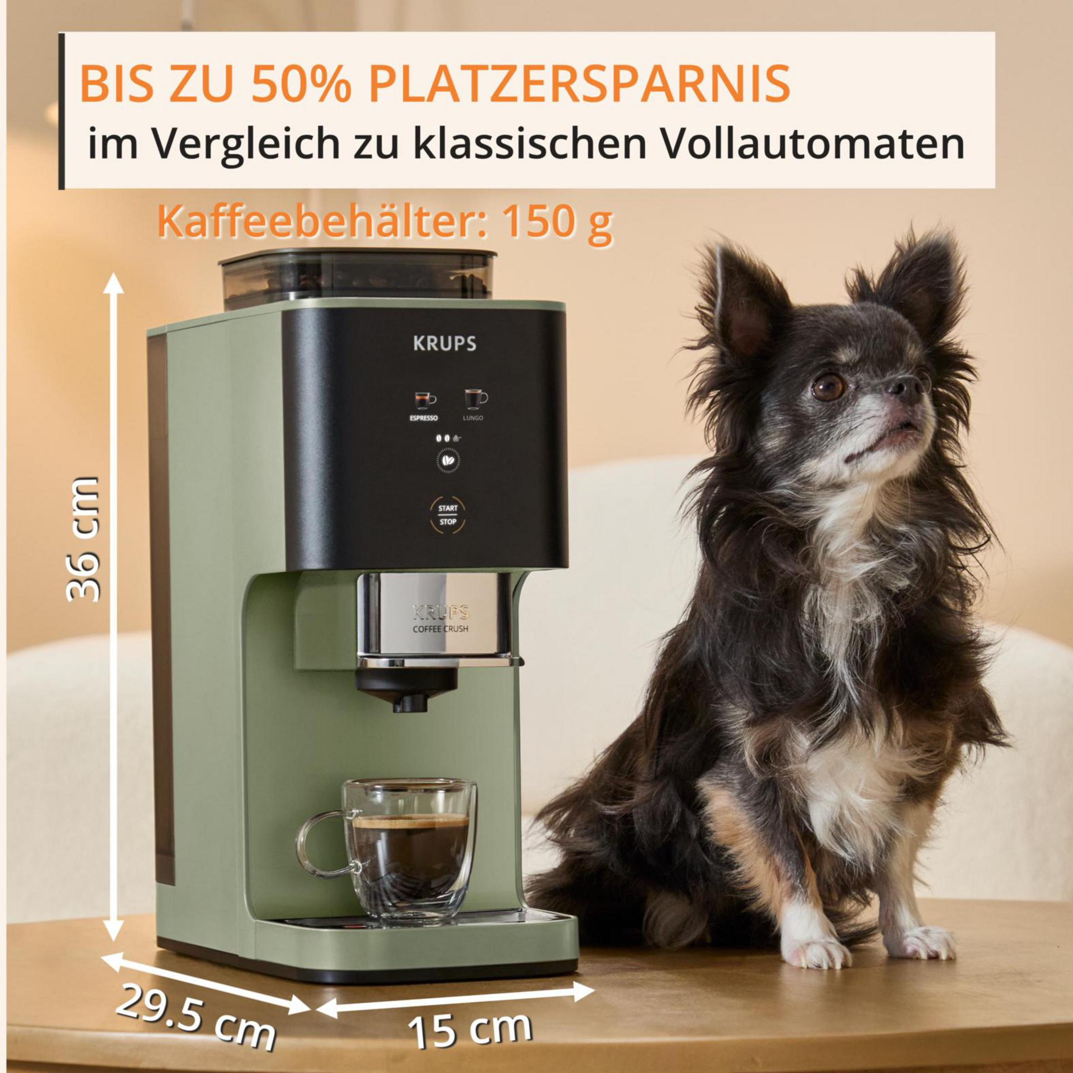 Macchina da caffè Krups verde con cane, dimensioni 36x29,5x15 cm.