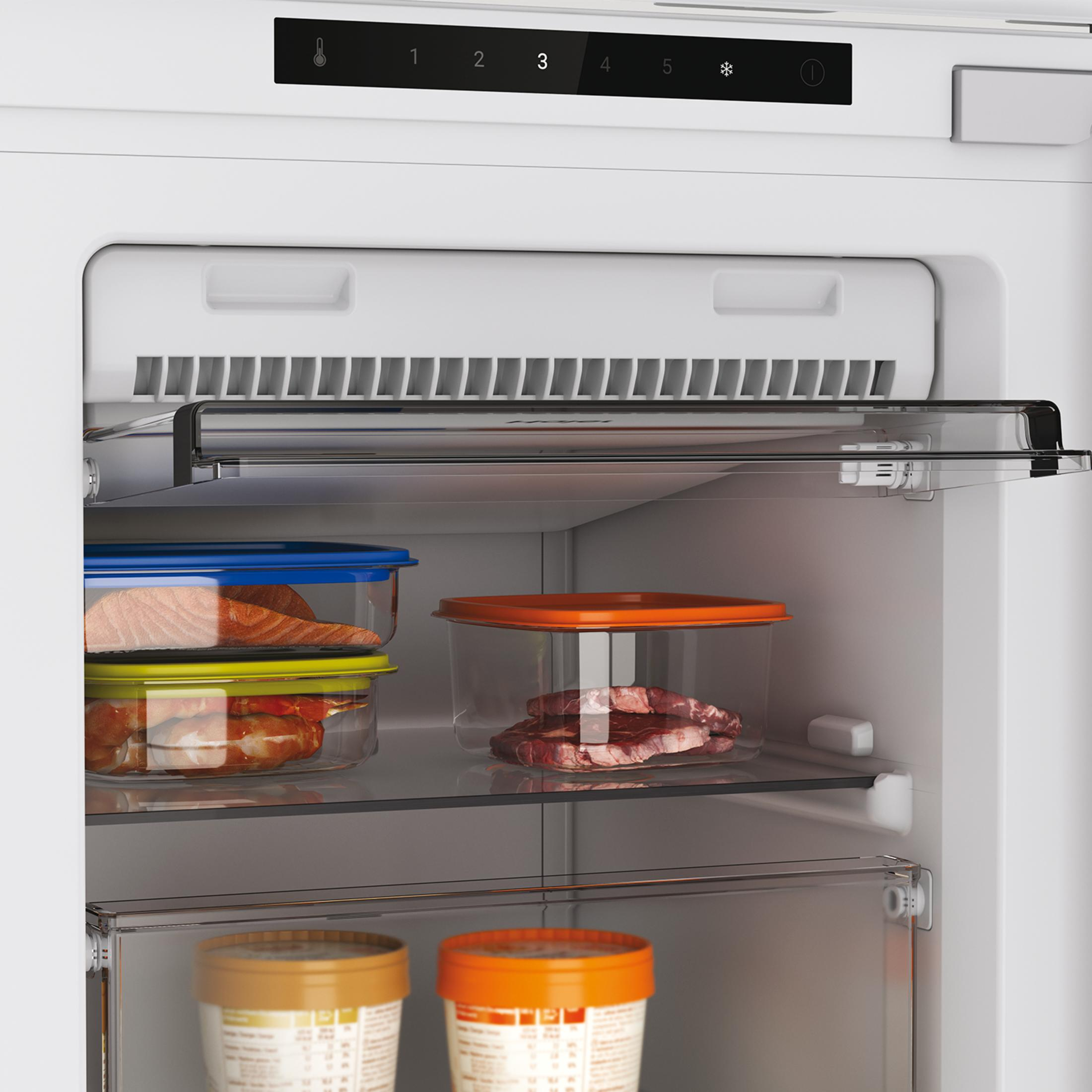 Interno frigorifero con carne, pesce e gelato in contenitori.