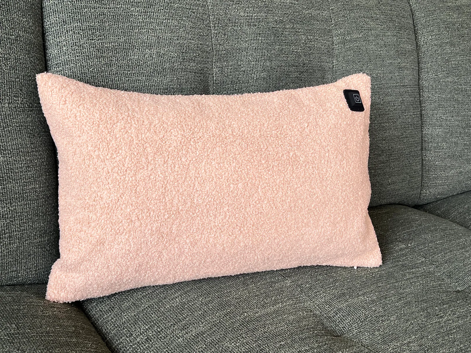 Ein rosafarbener Teddy-Stoffkissen liegt auf einem dunkelgrünen Sofa.