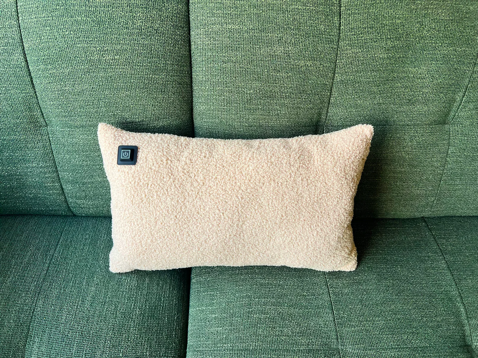 Ein hellbeiges Lammfellkissen mit Power-Symbol ruht auf einer grünen Couch.